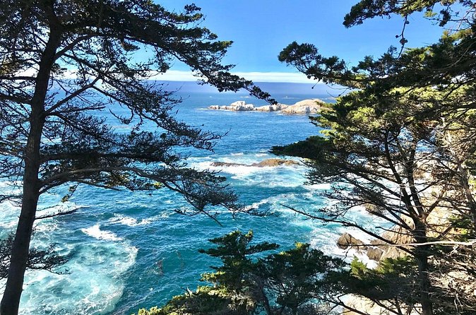 17-Mile Drive, Monterey Peninsula &Carmel Max 12 Small Group Tour - Bird Rock brings the wildlife
