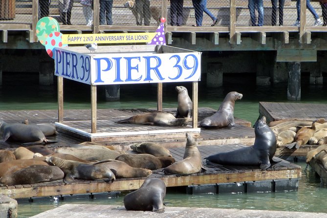 2 Day Hop-On Hop-Off Tour Plus Night Tour - How the 48-hour pass works in San Francisco