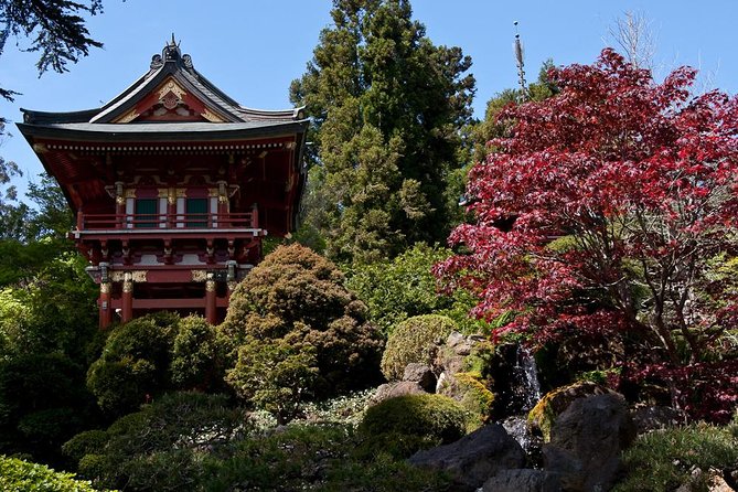 2 Day Hop-On Hop-Off Tour Plus Night Tour - Golden Gate Park, the Japanese Tea Garden, and the de Young Museum
