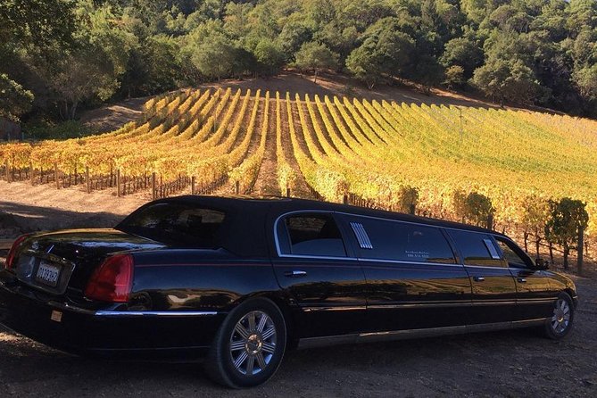 6-Hour Luxury Napa Wine Tasting Tour with Route Planning - Key things to know before booking