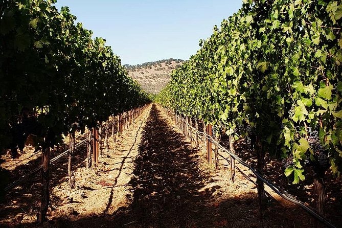6-Hour Luxury Napa Wine Tasting Tour with Route Planning - How the six-hour route works
