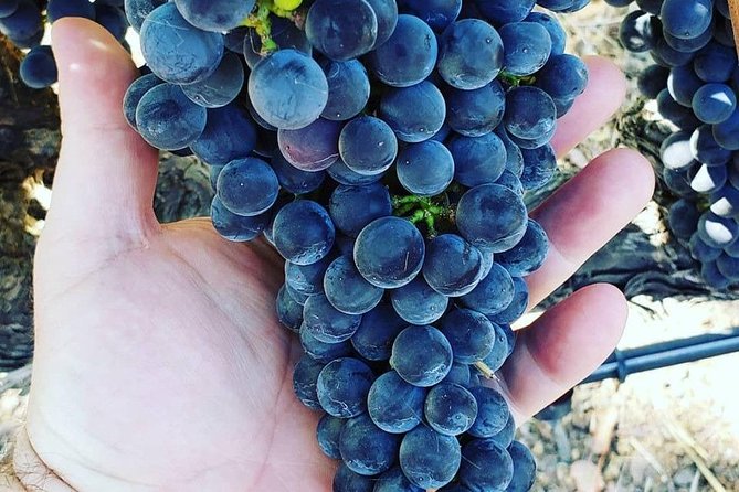 6-Hour Luxury Napa Wine Tasting Tour with Route Planning - Stop two: using the route to add variety