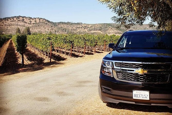 6-Hour Luxury Napa Wine Tasting Tour with Route Planning - Who will get the most from this tour