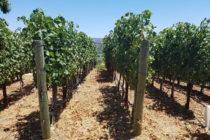 6 Hour Private Wine Country Tour (Sedan, SUV or Limo) - Building a Six-Hour Winery Plan