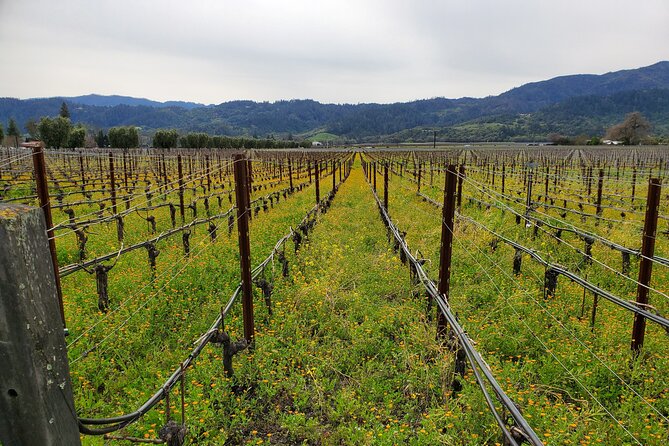 6-Hour Sparkling Wine Tour of Napa Valley - What is included, and what is not