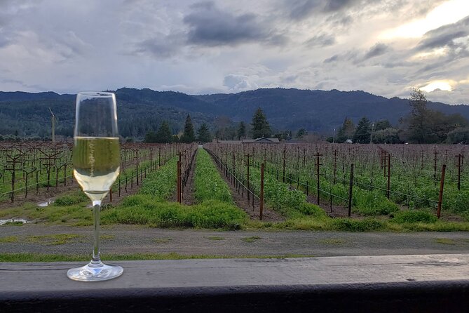 6-Hour Sparkling Wine Tour of Napa Valley - How to plan the day well