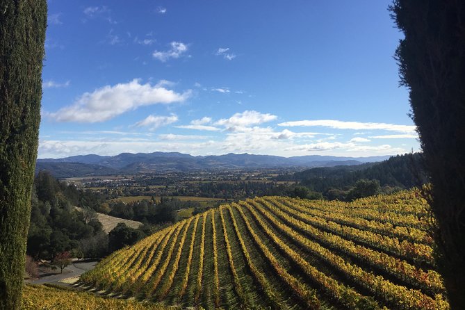 8-Hour, Private Limo Wine Tour to Napa from San Francisco - Leaving San Francisco for Napa Valley