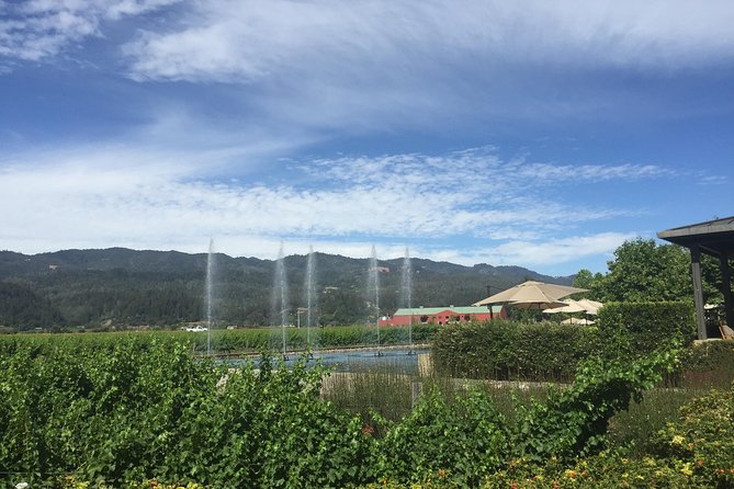 8-Hours Private Limo(up to 8 pass.) Wine Tour of Napa Valley from San Francisco - What your chauffeur adds to the day