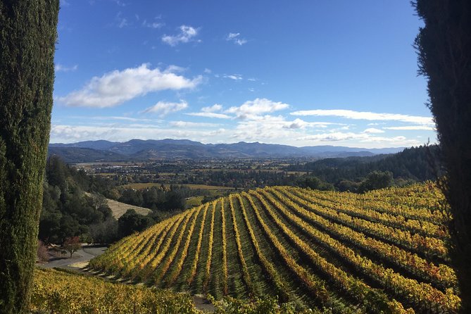 8-Hours Private Limo(up to 8 pass.) Wine Tour of Napa Valley from San Francisco - The practical cost of wine tasting
