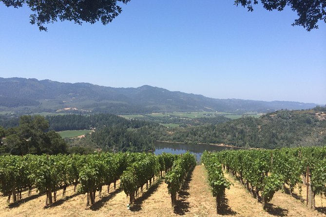 8-Hours Private Limo(up to 8 pass.) Wine Tour of Napa Valley from San Francisco - Building your own Napa itinerary