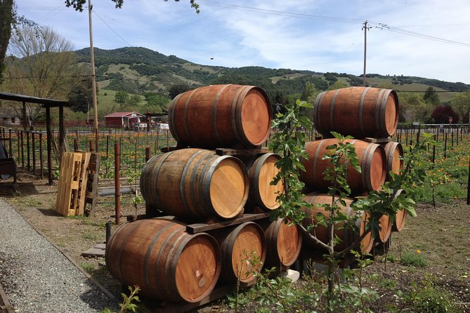8-Hours Private SUV (up to 6 Passengers) San Francisco to Napa Valley Wine Tour - Leaving San Francisco for eight private hours