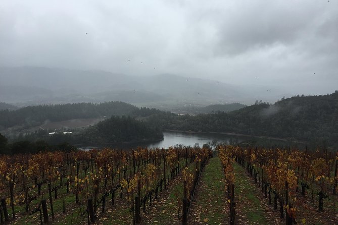 8-Hours Private SUV (up to 6 Passengers) San Francisco to Napa Valley Wine Tour - The drivers are the heart of the experience