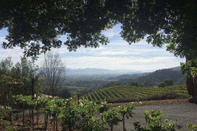 8-Hours Private SUV (up to 6 Passengers) San Francisco to Napa Valley Wine Tour - Wine tasting fees change the real price