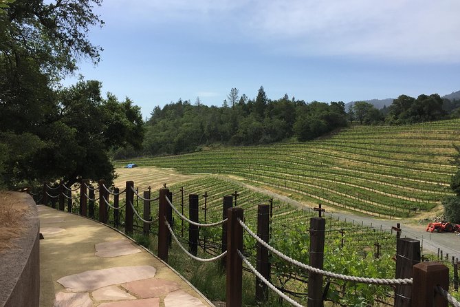 8-Hours Private SUV (up to 6 Passengers) San Francisco to Napa Valley Wine Tour - Practical planning for a smoother Napa day