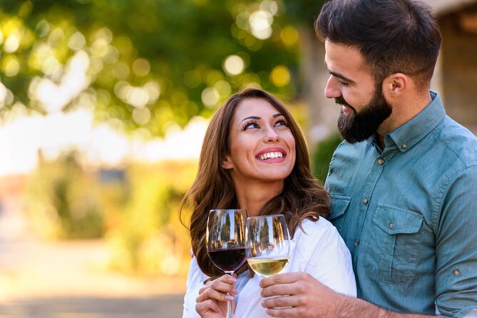 8hr Private Sonoma and Napa Wine Tour from San Francisco.XL SUV - A private wine day, not a fixed bus route