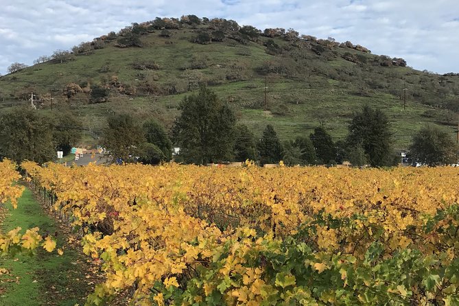 8hr Private Sonoma and Napa Wine Tour from San Francisco.XL SUV - Your driver sets the rhythm