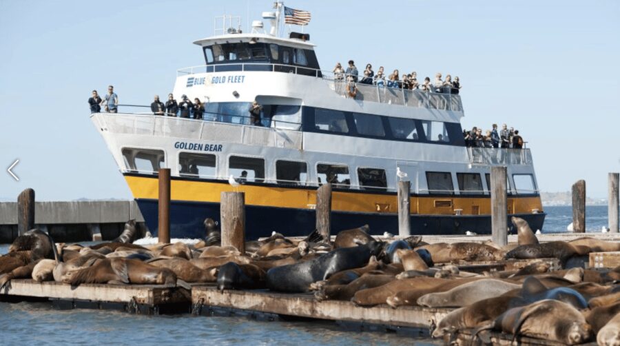 Alcatraz Island Prison Tour & Bay Cruise Combined Package - Weather, views, and the limits of the boat