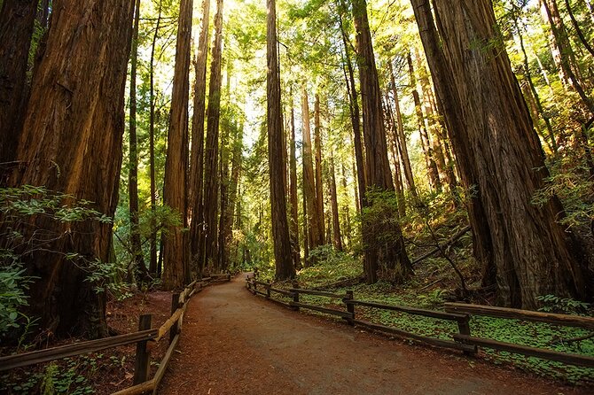 Alcatraz Muir Woods Express with Golden Gate Bridge Visit - Muir Woods is best when the morning is quiet
