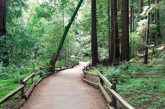 Alcatraz Muir Woods Express with Golden Gate Bridge Visit - Who will enjoy this tour most