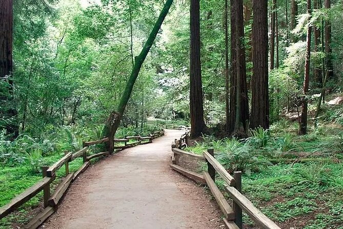 Alcatraz Muir Woods Express with Golden Gate Bridge Visit - Should you book the Alcatraz Muir Woods Express?