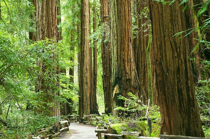 Alcatraz Muir Woods with Sausalito Express - Where the experience can disappoint