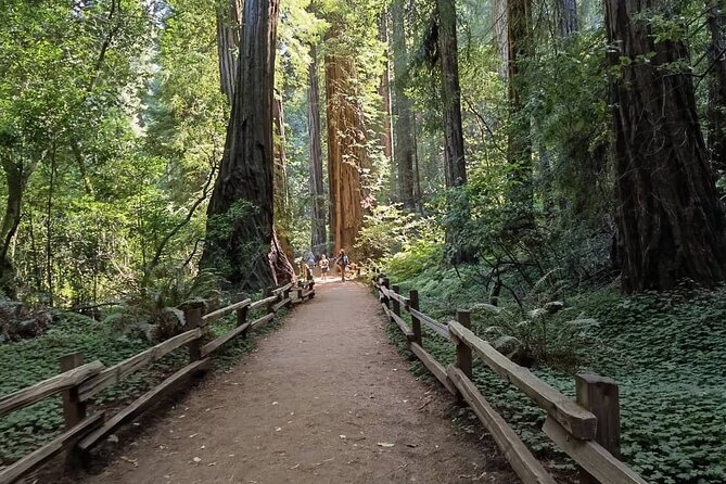 Alcatraz Plus Muir Woods and Sausalito Combo Tour - One hour in Sausalito