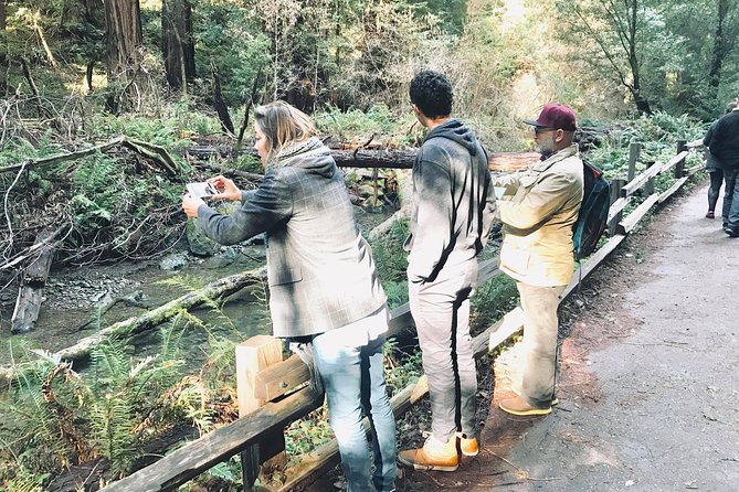 Amazing Muir Woods and Sausalito Tour - Guides add value during the drive
