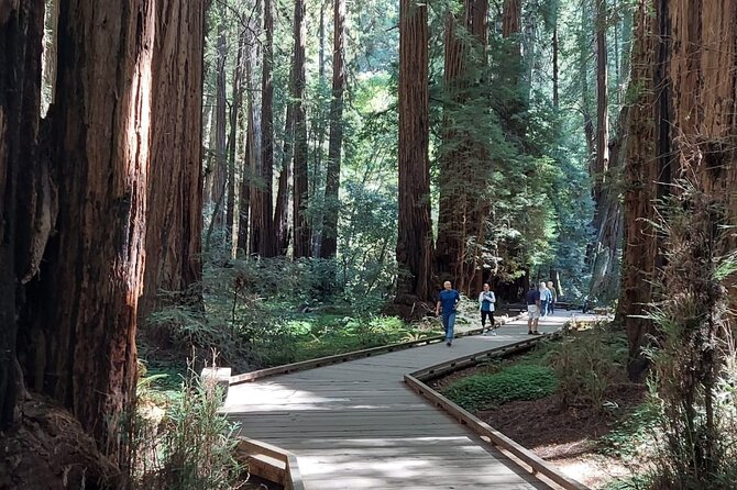 Amazing Muir Woods and Sausalito Tour - Is $89 a fair price?