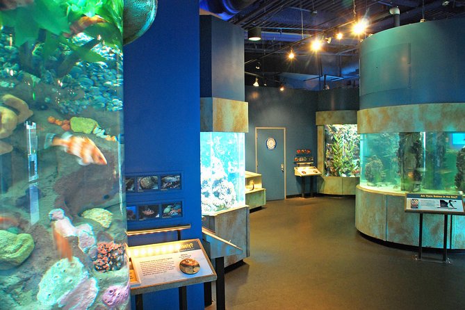 Aquarium of the Bay General Admission Ticket - How long should you stay?