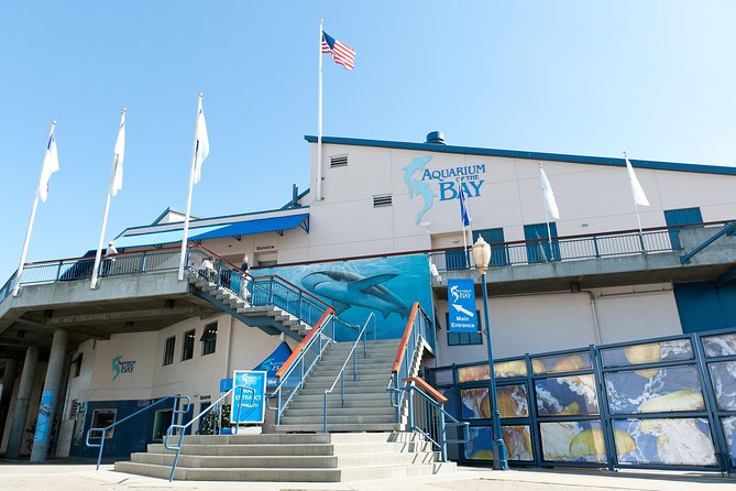Aquarium of the Bay General Admission Ticket - Price, booking, and cancellation