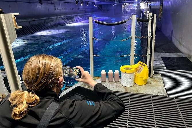 Aquarium of the Bay VIP Experience - What $61.50 Buys You