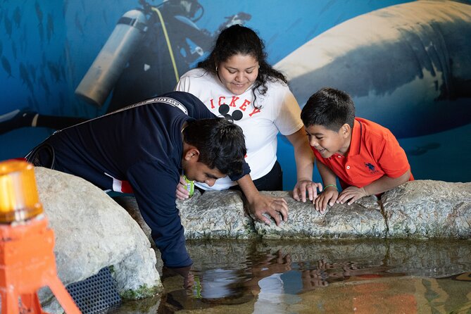 Aquarium of the Bay VIP Experience - What the Guides Add to the Visit