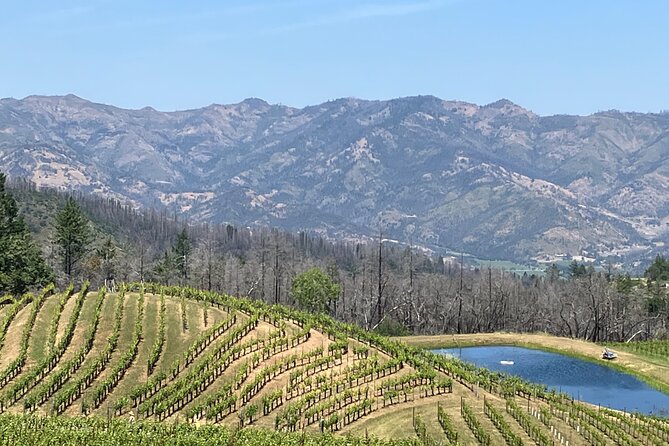 Best Private Wine Tours of Napa Valley-Sonoma for up to 8 people - The real cost of a $400 group booking