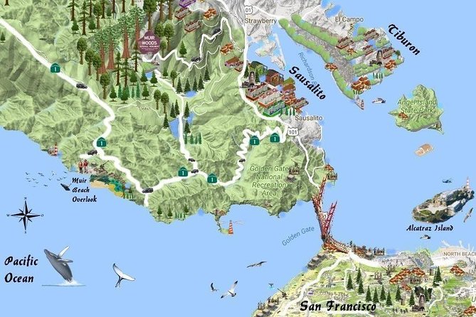 Best San Francisco, Muir Woods & Sausalito Private Combo Tour - A full day linking city streets and redwood trails