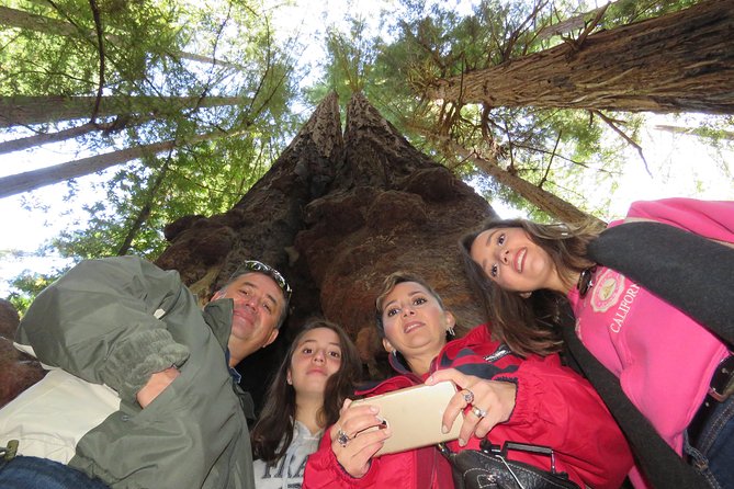 Best San Francisco, Muir Woods & Sausalito Private Combo Tour - Sausalito, houseboats, and the lunch decision