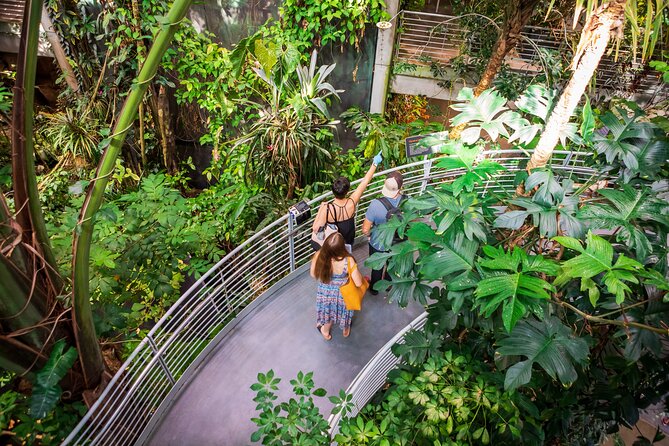 California Academy of Sciences General Admission Ticket - Why this Academy feels different from a standard museum