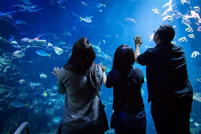 California Academy of Sciences NightLife Admission Ticket - Food, cocktails, and the practical rules