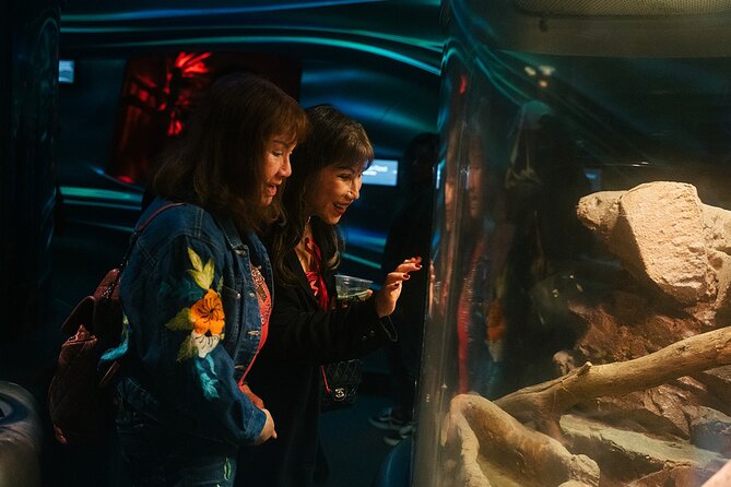California Academy of Sciences NightLife Admission Ticket - How to use four hours well