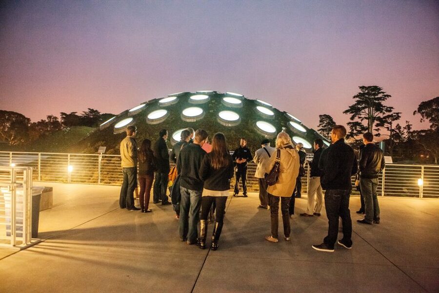 California Academy of Sciences Thursday NightLife Admission - Penguins, Claude, and Nearly 60,000 Animals