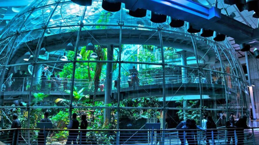California Academy of Sciences Thursday NightLife Admission - Music, Cocktails, and Monthly Themes