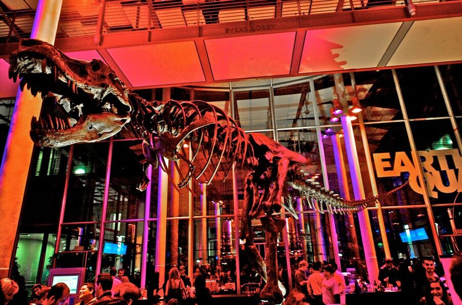 California Academy of Sciences Thursday NightLife Admission - A Four-Hour Route That Works