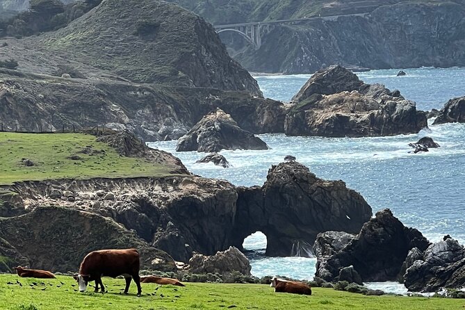 Carmel, Monterey and Big Sur Tour Private Tour from San Francisco - Carmel-by-the-Sea: lunch, beaches, and small-town character