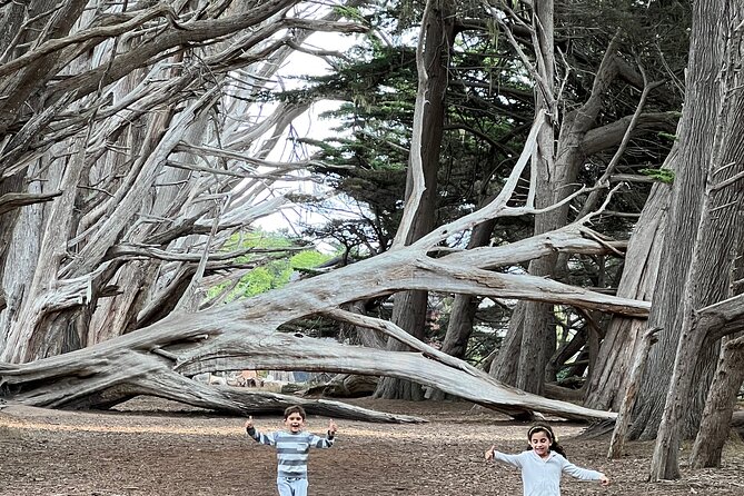 Carmel, Monterey and Big Sur Tour Private Tour from San Francisco - The $985 price and who gets the best value