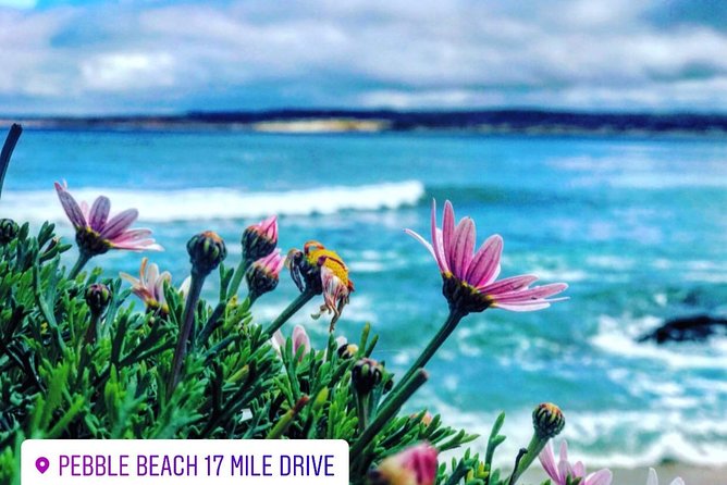 Carmel / Monterey Hwy 1 tour - The 17-Mile Drive and its coastal views