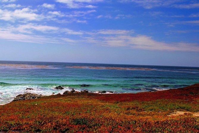 Carmel / Monterey Hwy 1 tour - Monterey: lunch, walking, or the aquarium