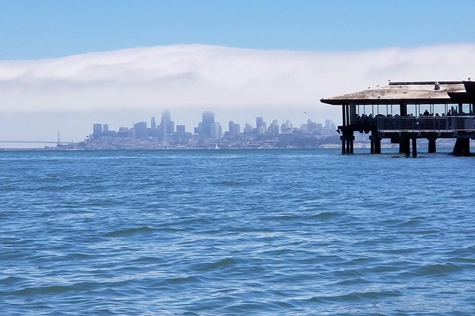 Combo Small-Group Tour: SF City plus Muir Woods & Sausalito - A full San Francisco day, with the hard work handled