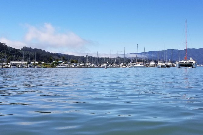 Combo Small-Group Tour: SF City plus Muir Woods & Sausalito - Muir Woods: the day’s quiet center