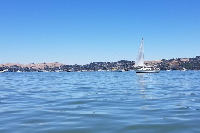 Combo Small-Group Tour: SF City plus Muir Woods & Sausalito - Guides, vehicles, and the feel of a small group