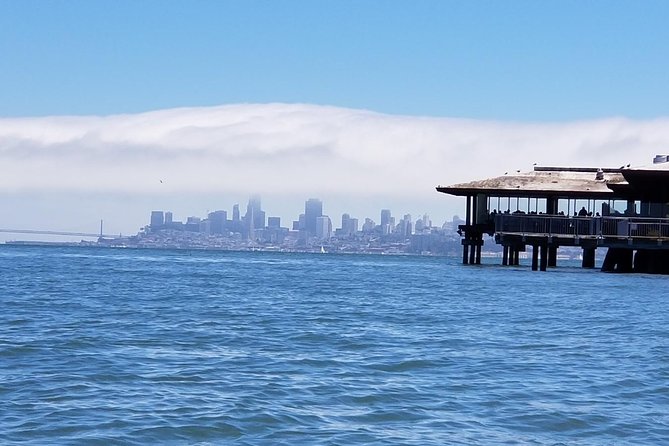 Combo Tour: Muir Woods, Sausalito and Sonoma Wine Country Tour - Is $224 a fair price?