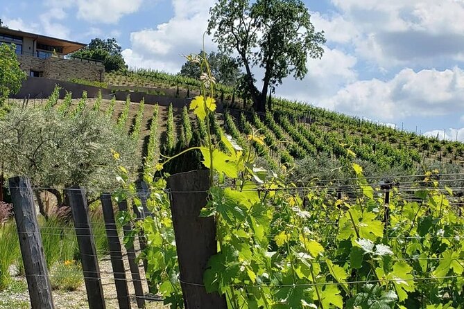 Custom 8-Hour Napa Valley Wine Tour in a Luxury Vehicle - Cancellation and timing advice